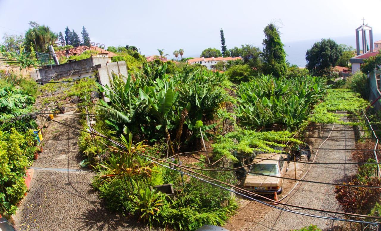 Villa Catanho Funchal  Kültér fotó