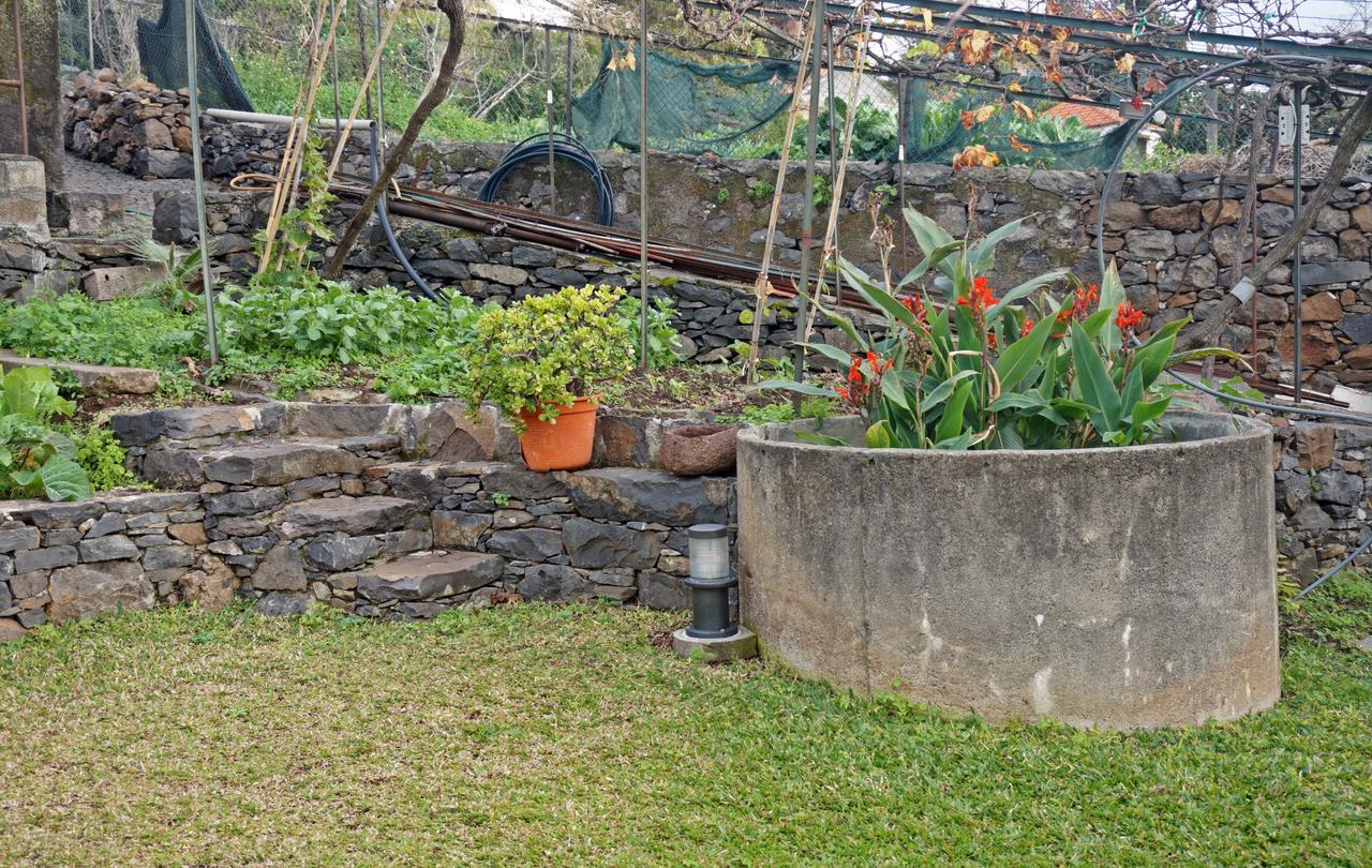 Villa Catanho Funchal  Kültér fotó